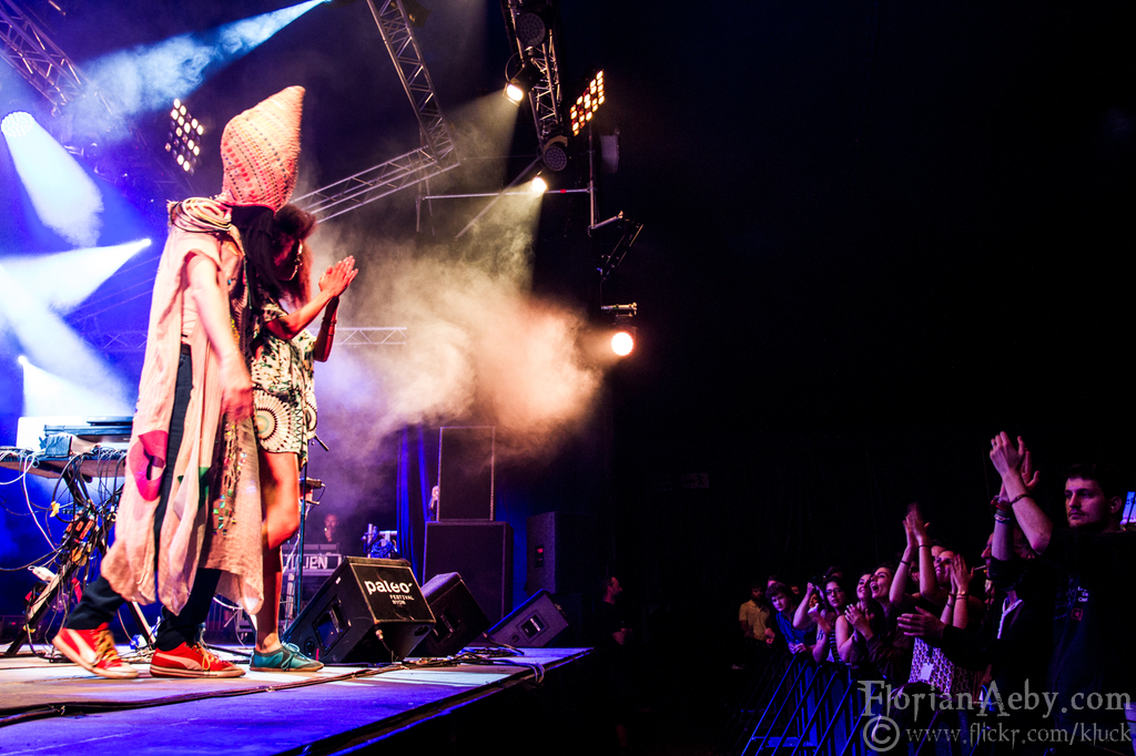 oy paléo florian aebi